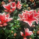 从新手到高手:如何在1916游戏平台上提升游戏技巧 1cv01e1