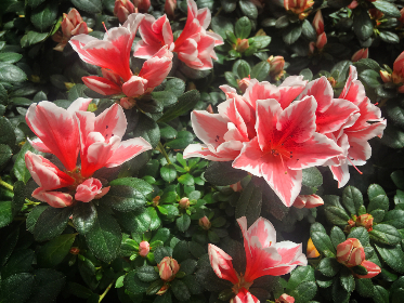 从新手到高手:如何在1916游戏平台上提升游戏技巧