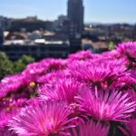 九州酷游娱乐:带你领略前所未有的线上娱乐盛宴 1p1mfn