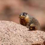 从用户评价看8868.com:值得信赖的电商选择吗? 2xu3x22i