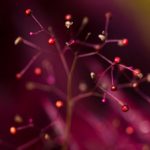 全面解析k1体育登录入口官网的使用方法与优势 4e0un12a