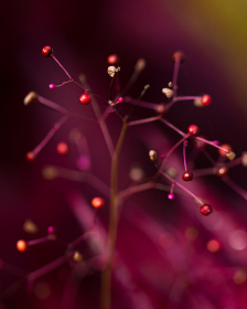 全面解析k1体育登录入口官网的使用方法与优势