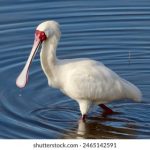 优贝娱乐如何引领数字娱乐行业的未来发展趋势 6b025uc5