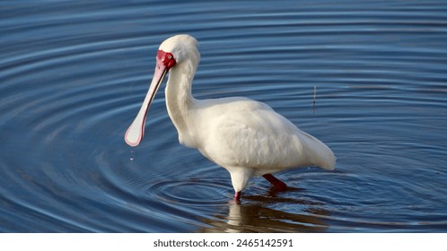 优贝娱乐如何引领数字娱乐行业的未来发展趋势