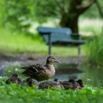 亿兆体育官网:为您提供全面的体育资讯与实时比分服务 6rcdwt