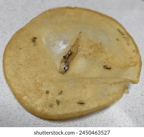 优万体育平台:全面解析其独特优势与用户体验