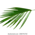 凯发直播发财圈的成功案例:从零到百万的逆袭之路 fyg8y839