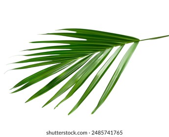 凯发直播发财圈的成功案例:从零到百万的逆袭之路