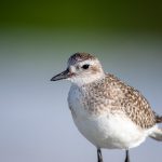 亚新体育网站的优势:为何成为体育爱好者的首选平台 tvhuewq9i4