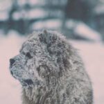 093期3D开奖号码正式公布,最新结果揭晓 1i0k2z71