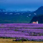 081期开奖结果查询最新官方公布信息 7sjaks25e