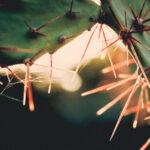 092期开奖结果震撼揭晓,大奖花落谁家引关注 b9c3mt9qt