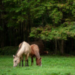 079期开奖记录公布,最新中奖号码全面揭晓 lte897