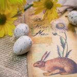 083期开奖记录最新公布,快来看看你中奖了吗? qcaqu2k9z9