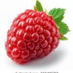 095期开奖号码公布最新结果查询 r6nx157hug